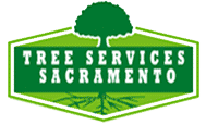 Tree Service