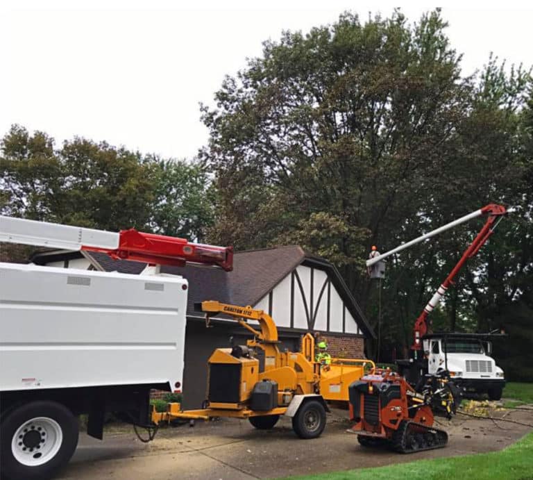 Tree Service Sacramento Tree Removal Sacramento
